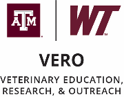 VERO Program - Texas A&M University Logo